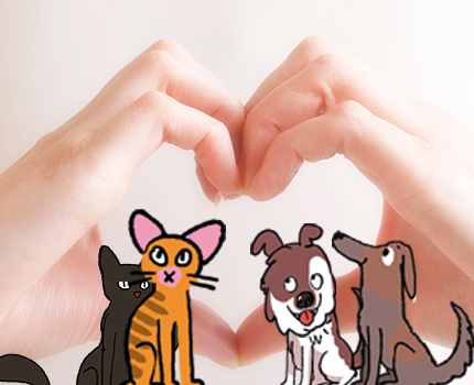 Groupe CSF : découvrez l'assurance chien chat avec notre partenaire GMF !