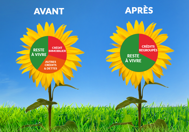 Pourquoi regrouper vos crédits ?